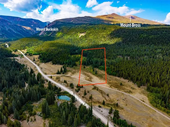 1421 Buckskin Road, Alma, CO 80420