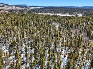 235 Willow Lane, Fairplay, CO 80440