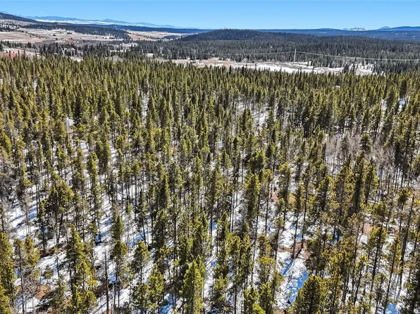 235 Willow Lane, Fairplay, CO 80440