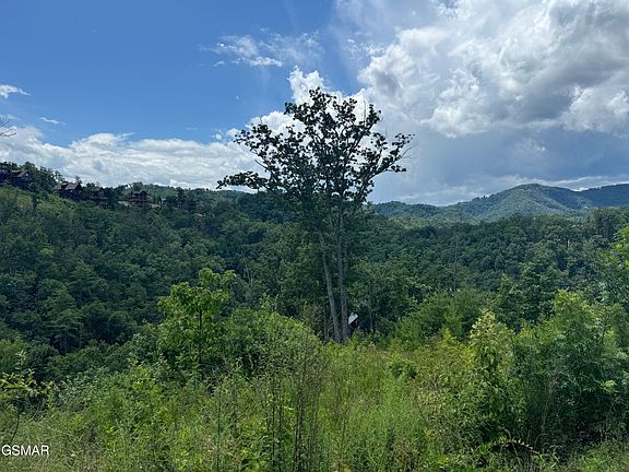 2nd image of 24 Coopers Hawk Way Lot 24