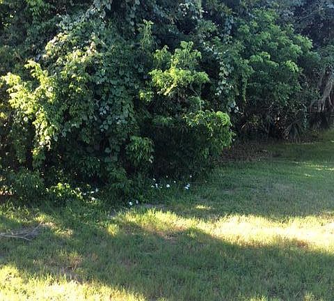 4th image of 350 Indian Mound Dr