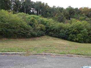 Timberwalk Dr, Guntersville, AL 35976