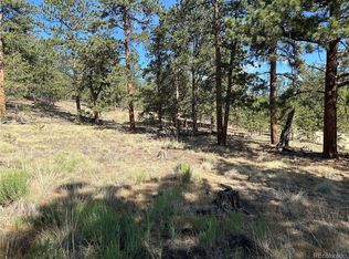565 Hayhook Way LOT 249, Hartsel, CO 80449