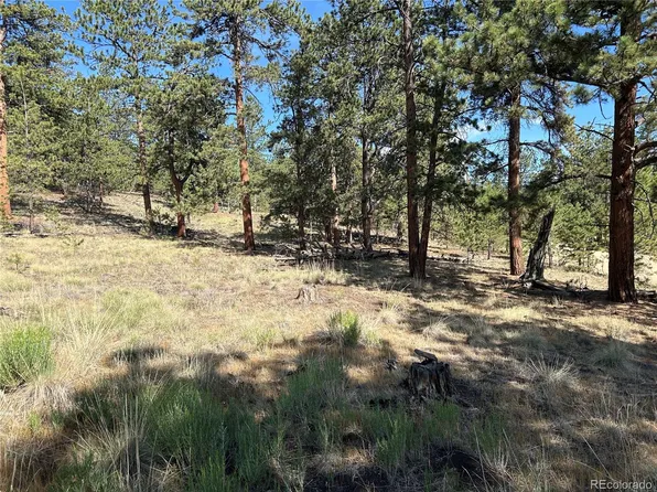 565 Hayhook Way LOT 249, Hartsel, CO 80449