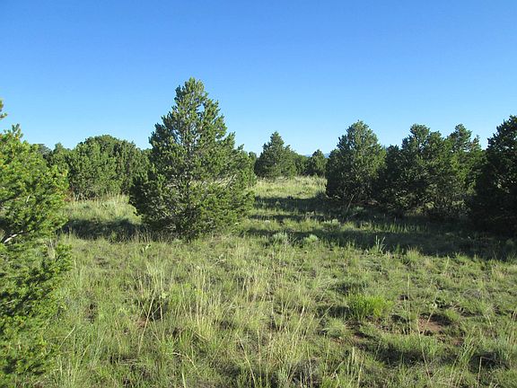 3rd image of LOT 85 Navajo Ranch Resorts 3 Lot 85