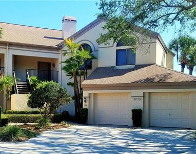 3015 Red Oak Ct APT 104, Palm Harbor, FL, 34684