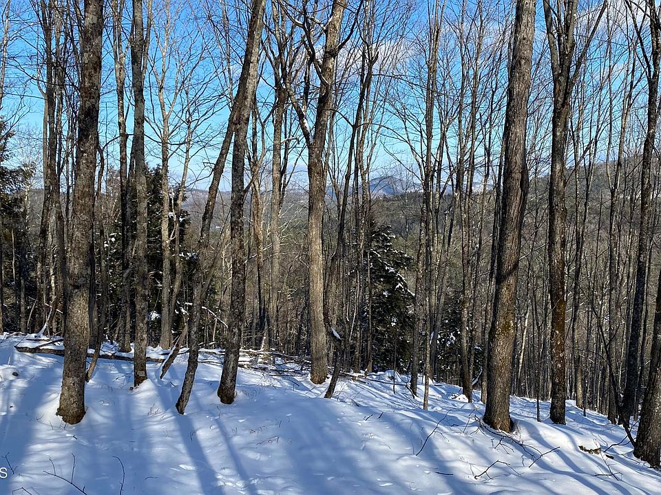 L11.232 Valentine Pond Road, Brant Lake, NY 12815 Zillow