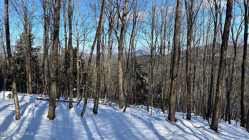 2nd image of L11.232 Valentine Pond Road