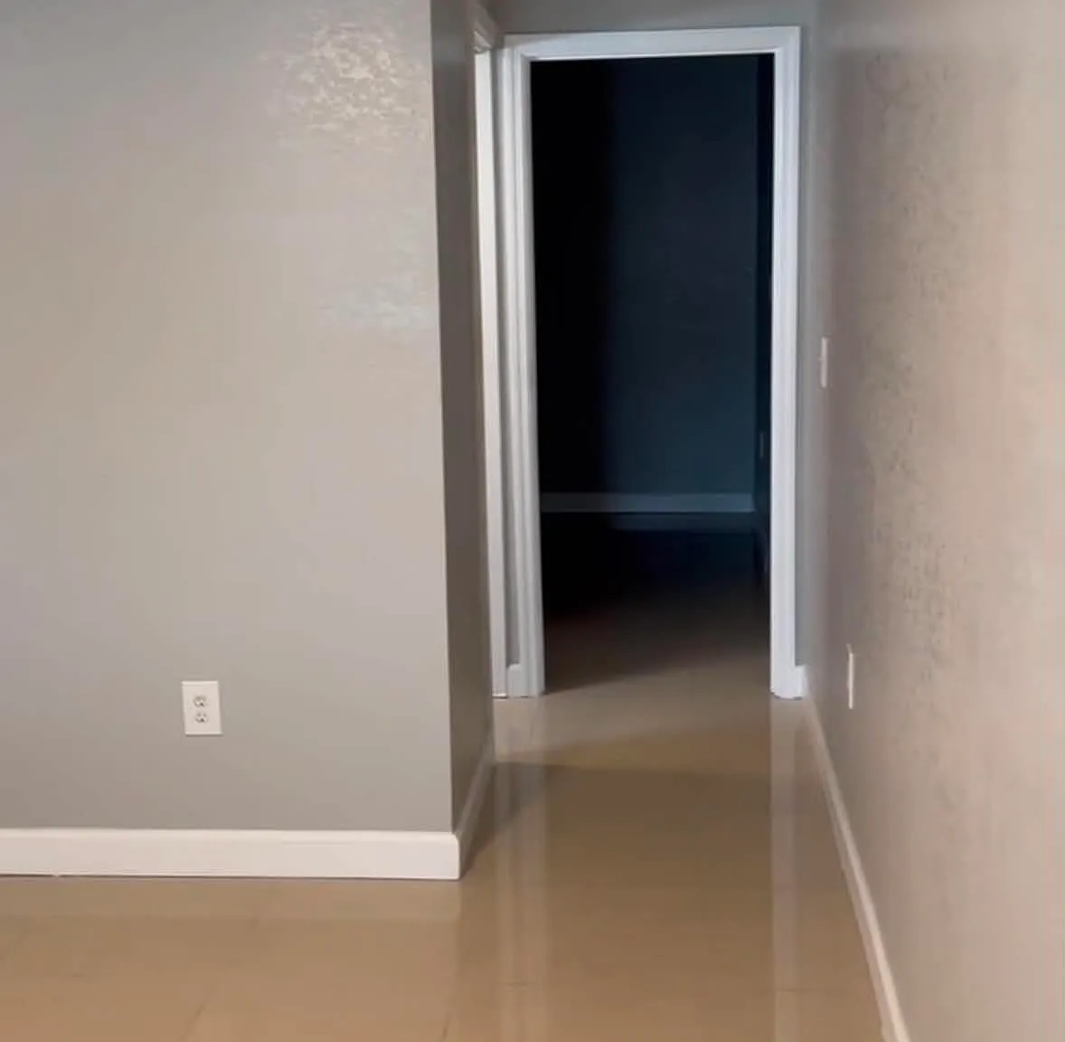 1 bed, 300 sqft, $1,100 — Photo 4