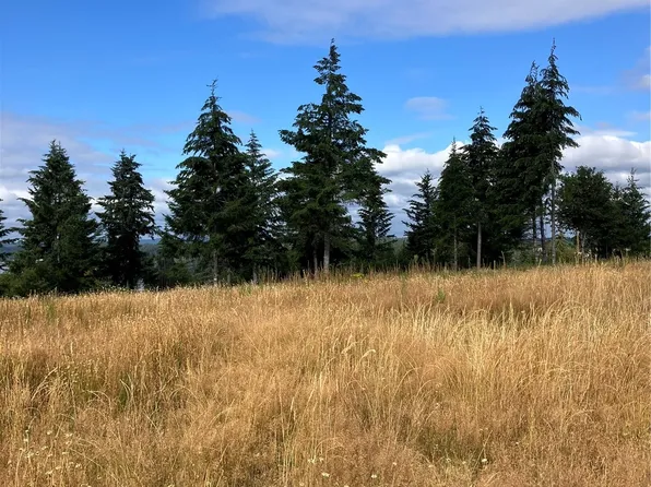 5 E Lone Fir Drive Drive E #Div 2, Shelton, WA 98584