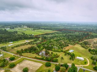 5321 Wendell Ladner Rd, Perkinston, MS 39573