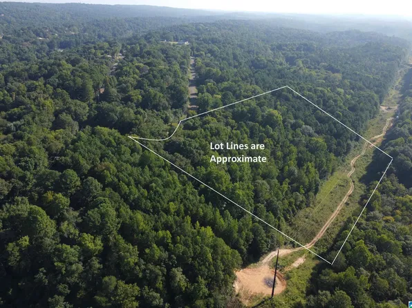 916 Walnut St #142A, Birmingham, AL 35210