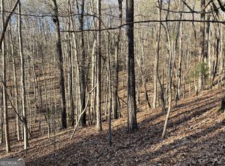 2458 Montage Dr #2458, Ellijay, GA