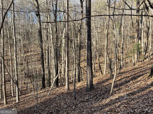 2458 Montage Dr #2458, Ellijay, GA 30540