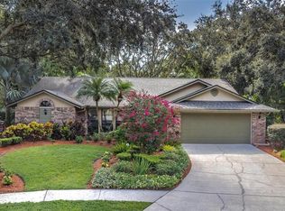 4005 Carenon Ln, Valrico, FL 33596