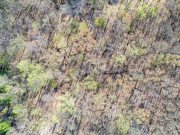 5th image of 0 Morgan Rd