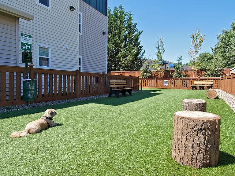 Baseline Woods — Photo 18