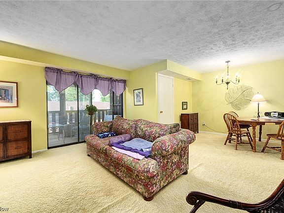 3rd image of 33803 Electric Blvd Unit G-5
