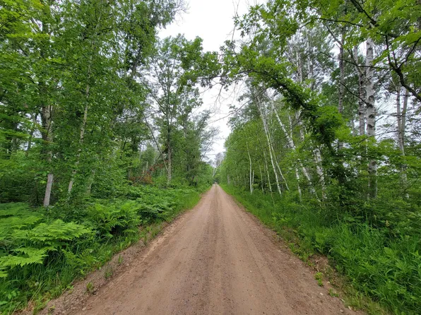 Rapala Dr, Bena, MN 56626