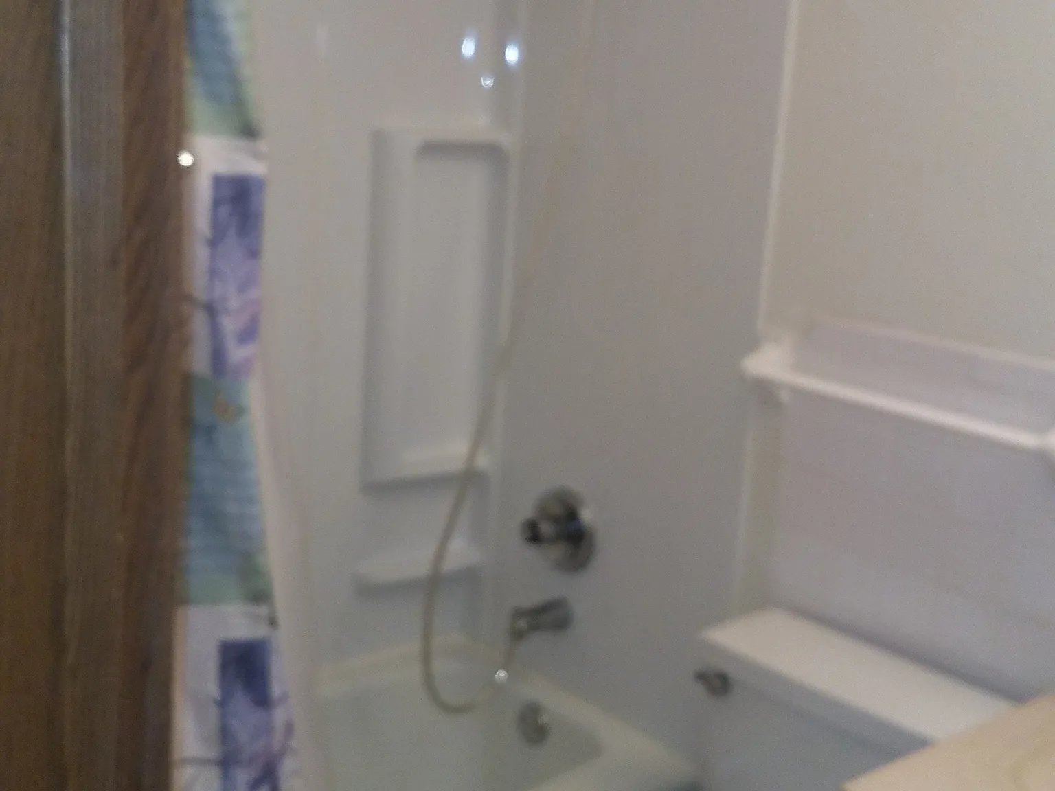 1 bed, 700 sqft, $745 — Photo 2