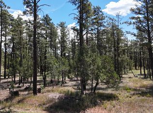 5383 Drive Stilletto Dr, Lakeside, AZ 85929