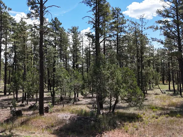 5383 Drive Stilletto Dr, Lakeside, AZ 85929