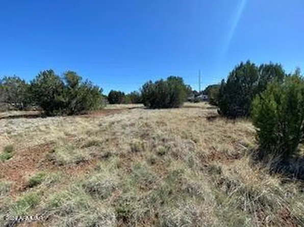 8459 Canyon Drive #42, Show Low, AZ 85901