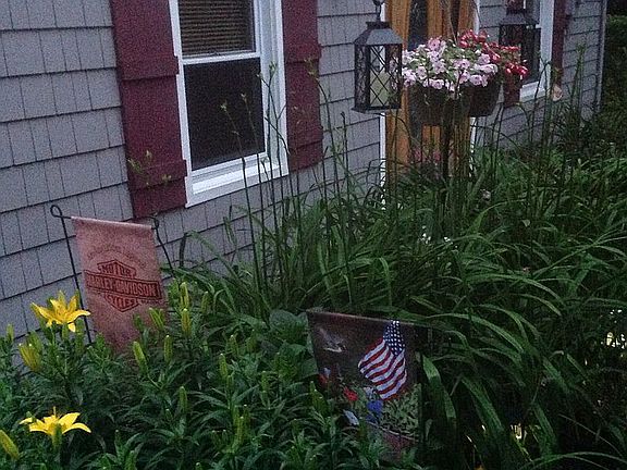 front garden
