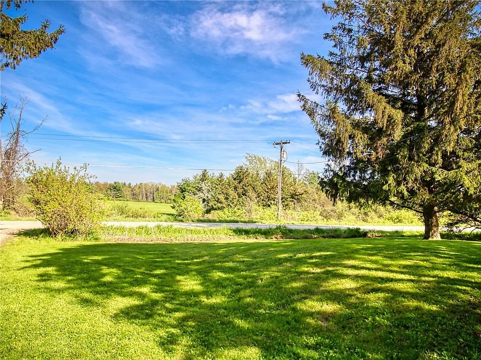 View From Front Yard