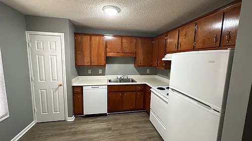 2817 Cobalt Drive Photo 1