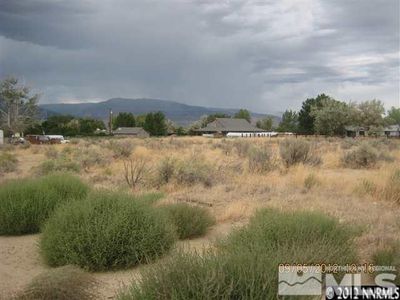 1372 Johnson Ln, Minden, NV, 89423