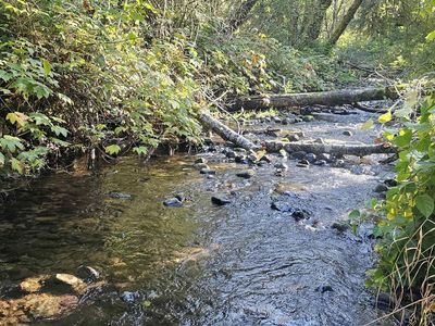 LOT 5 N Doris Ln, Otis, OR, 97368