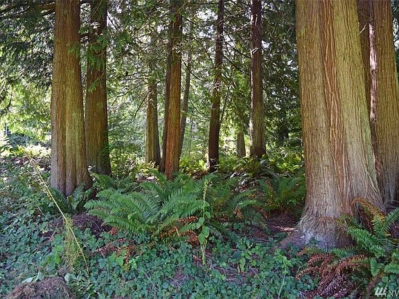 3rd image of LOT 26 Highland Dr
