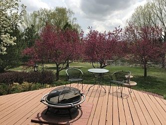 Back Deck