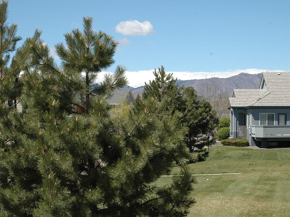 Large Park right off front of deck great for lounging, dog activities and meeting the neighbors.