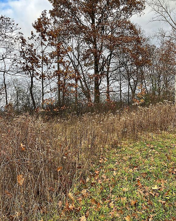 Inside lot looking NE