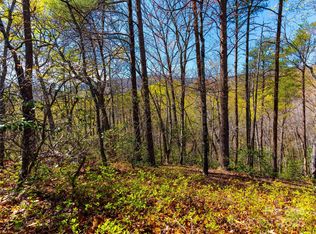 107 E Deep Gap Rd, Mill Spring, NC 28756