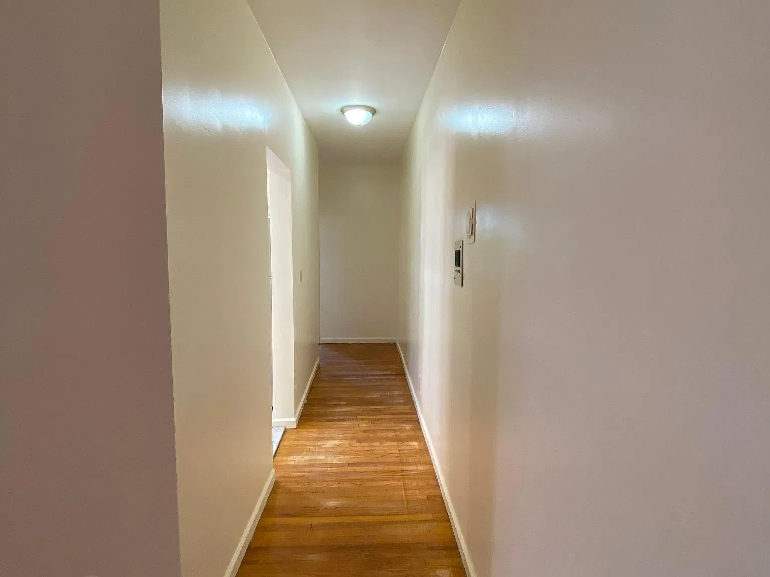 1 bed, 450 sqft, $1,595 — Photo 4