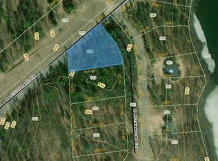7817 S Potawatomi Ct #60, Newaygo, MI