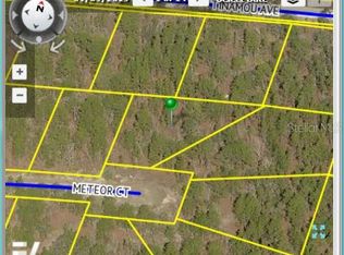 Meteor Ct, Weeki wachee, FL 34614