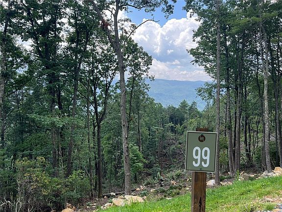 4th image of Lot 99 Wildcat Wilderness Parkway