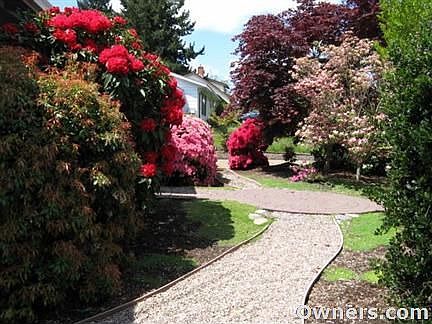 front yard; rhododendron, azalea, pieris, dogwood, red maple, +