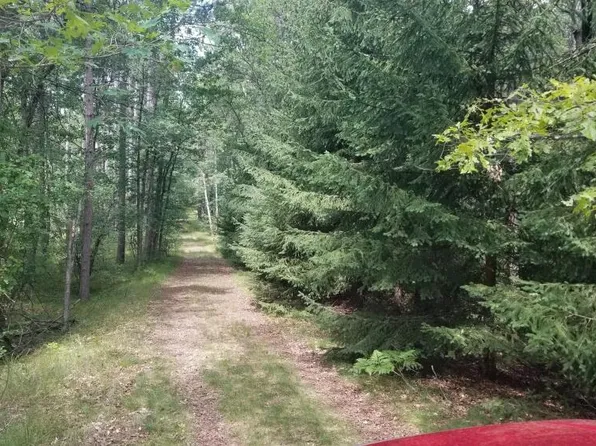 4154 W 52nd St, Baldwin, MI 49304