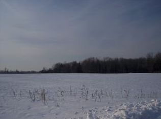 3235 Pagel Ln, Abrams, WI 54101