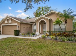 4613 River Overlook Dr, Valrico, FL 33596