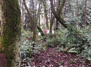 11013 Baker St, Steilacoom, WA 98388