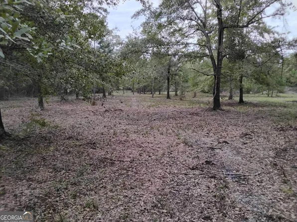 137 Romeo Dr NE, Ludowici, GA 31316
