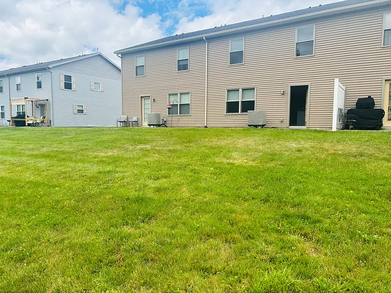 back yard