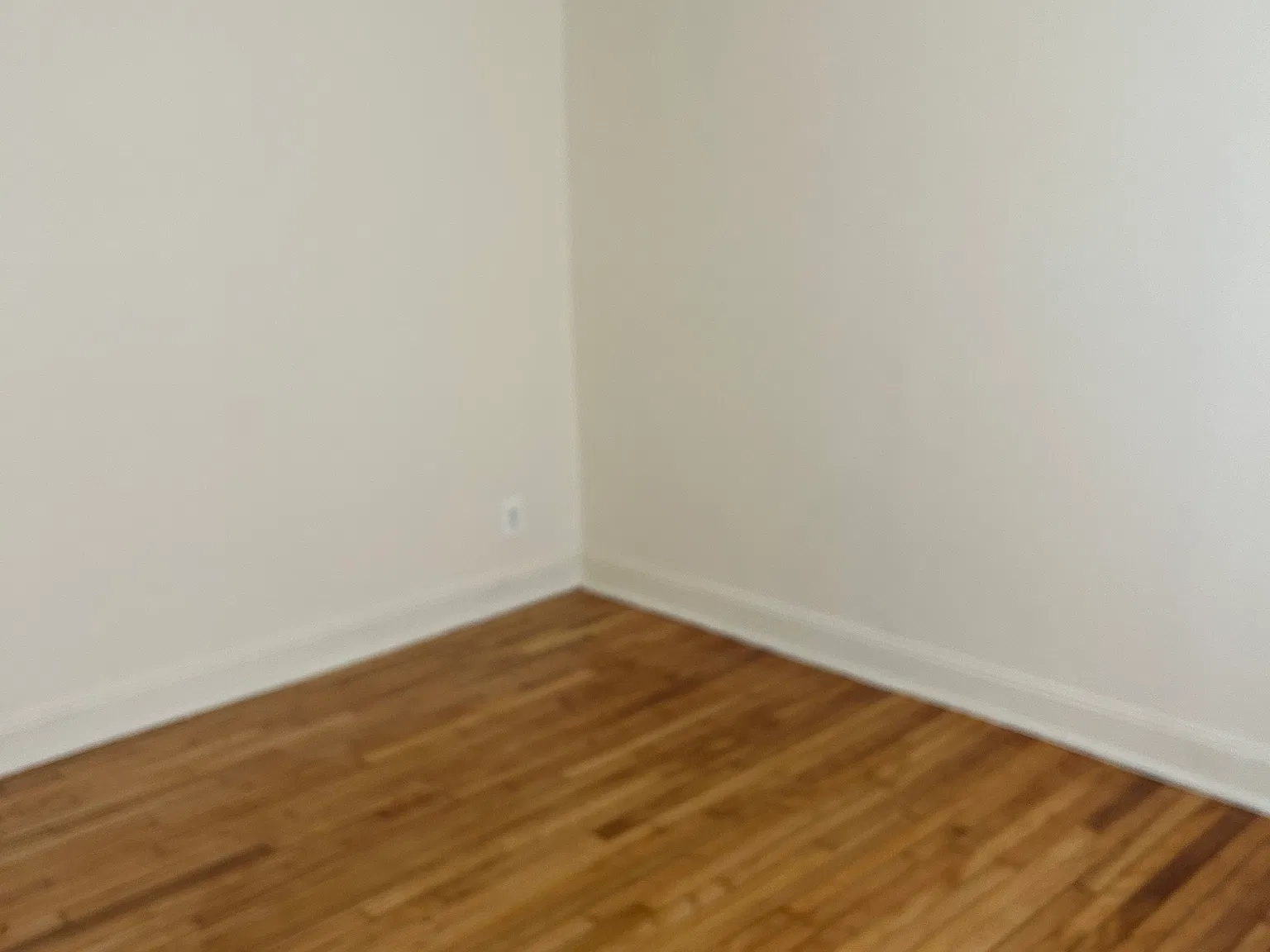 1 bed, 625 sqft, $1,850 — Photo 2