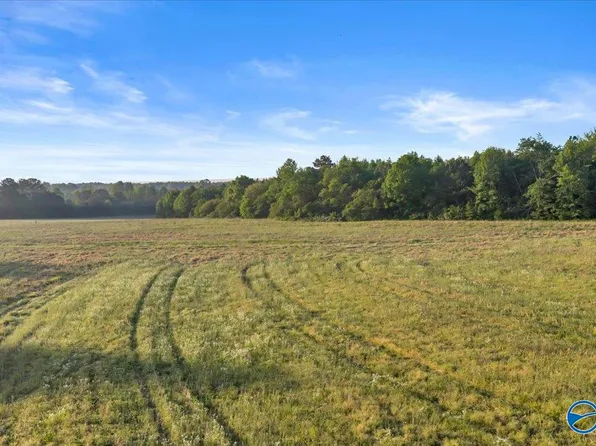 20/- Alabama Hwy #71, Dutton, AL 35744